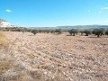 10,500m2 Plot of Land with mains water in Pinoso Villas