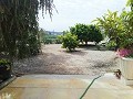 Lovely Villa in Ricabacica, Abanilla + olive grove in Partidor in Pinoso Villas