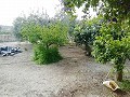 Mooie villa in Ricabacica, Abanilla + olijfgaard in Partidor in Pinoso Villas