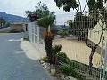 Belle Villa à Ricabacica, Abanilla + oliveraie à Partidor in Pinoso Villas