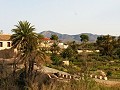 Lovely Villa in Ricabacica, Abanilla + olive grove in Partidor in Pinoso Villas