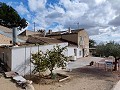 Semi-detached country house in La Romana in Pinoso Villas
