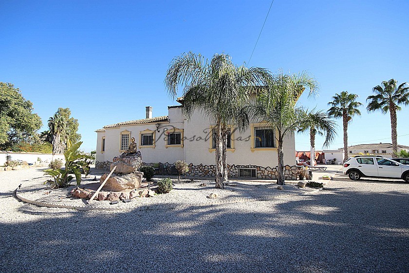 Large Detached Villa with 7 beds in Catral in Pinoso Villas
