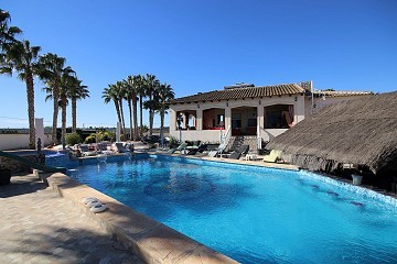 Large Detached Villa with 7 beds in Catral