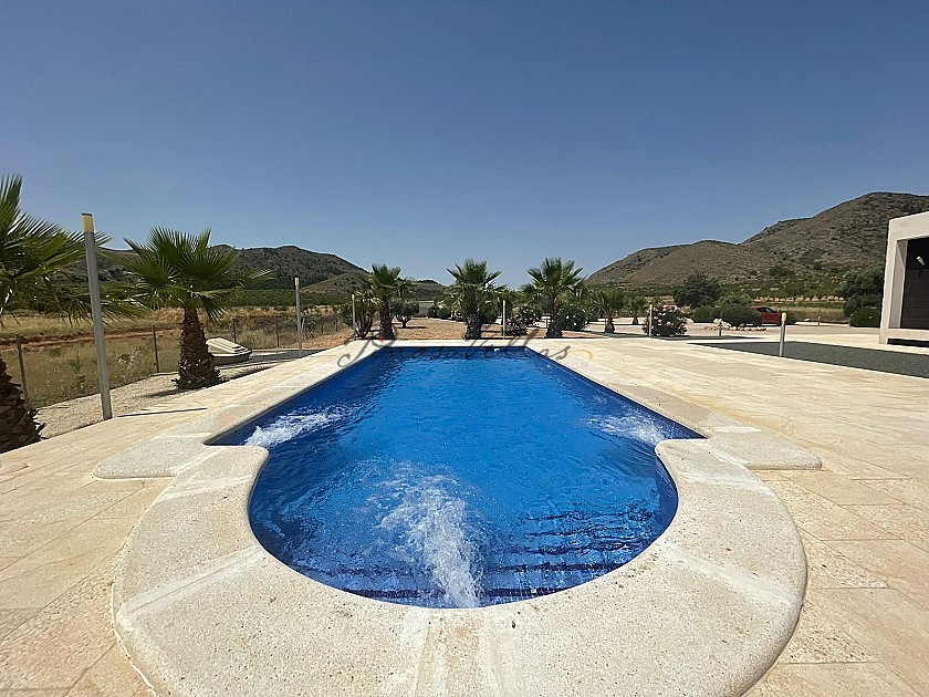 Hondon Villa with annex and pool 2km to Hondon Frailes in Pinoso Villas