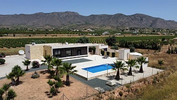 Hondon Villa with annex and pool 2km to Hondon Frailes