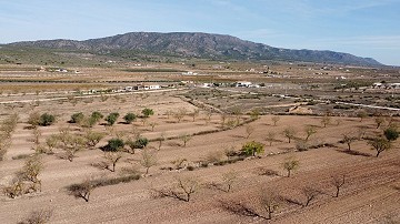 Building plot of land near Pinoso