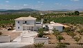 Villas de ensueño de nueva construcción en la hermosa campiña de Alicante in Pinoso Villas