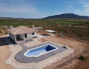 New build villa in Pinoso Alicante
