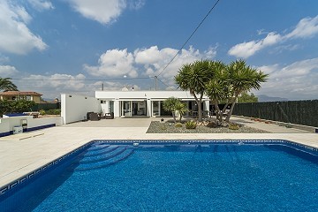 Beautiful Detached 3 Bedroom Villa with private pool for sale in Pedanías Oeste, Aspe, Alicante