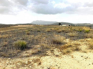 Land, for Sale in Torre del Rico
