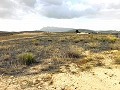 Land, for Sale in Torre del Rico in Pinoso Villas