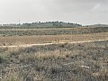 Land, for Sale in Torre del Rico in Pinoso Villas