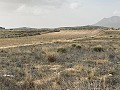 Land, for Sale in Torre del Rico in Pinoso Villas