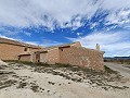 Large historic house and bodega en Pinoso in Pinoso Villas