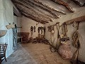 Large historic house and bodega en Pinoso in Pinoso Villas
