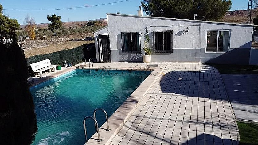 Villa with Guest annex and swimming pool in Villena in Pinoso Villas
