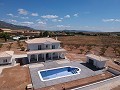 New build villa 195m2 with pool and plot in Pinoso Villas