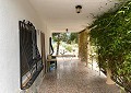 Villa de 3 chambres et 1 salle de bain très bien située avec piscine et maison d'hôtes de 2 étages à Sax in Pinoso Villas