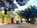 Villa met 3 bedden en 2 badkamers Loop naar de stad in Novelda in Pinoso Villas