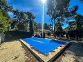 Schönes Landhaus mit Pool in Almansa in Pinoso Villas