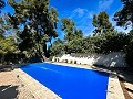Schönes Landhaus mit Pool in Almansa in Pinoso Villas