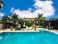 Incredible luxury mansion in Elda in Pinoso Villas