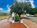 Maison de campagne spectaculaire à Alcoy in Pinoso Villas