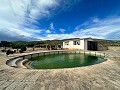 Enorme villa met 11 slaapkamers en zwembad in Ontinyent in Pinoso Villas