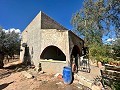 Maison de campagne à rénover à Jumilla in Pinoso Villas