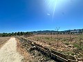 5000 square meter plot with incredible views in Yecla in Pinoso Villas