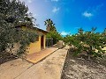 Prachtige villa met zwembad en 5 slaapkamers in Sax in Pinoso Villas