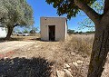 3 Bed 2 Bath Finca in Sax with over 16,000m2 of Land in Pinoso Villas