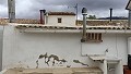 Stadthaus mit 6 Schlafzimmern und 4 Bädern in Pinoso Villas
