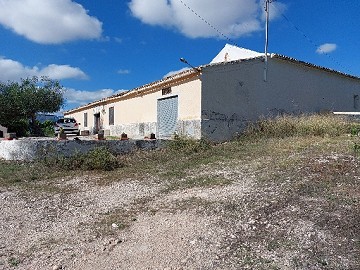 Large country house with pool, land and area for animals near Elda and Monóvar.