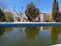 Grande villa de 4 chambres et 2 salles de bain très proche de Yecla in Pinoso Villas