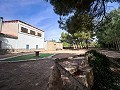 Magnífico campo con potencial de reforma en Almansa  in Pinoso Villas